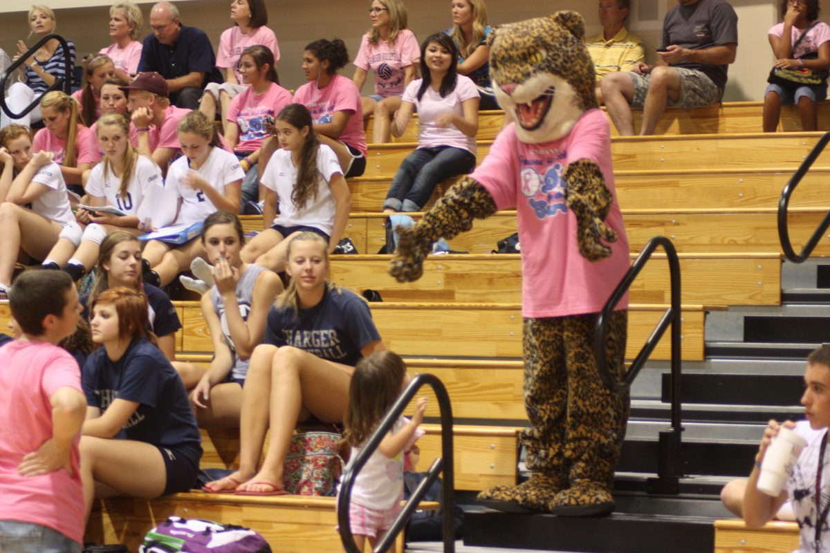Johnson Jaguar mascot in pinked out stands.
