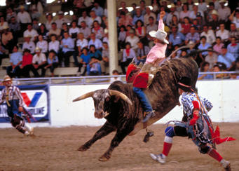 San Antonios Stock Show and Rodeo rolls in this weekend.
