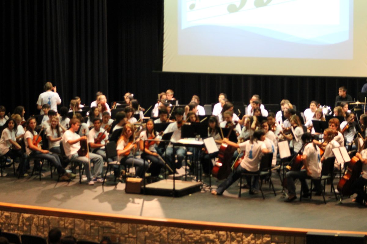 Orchestra succeeds at regionals