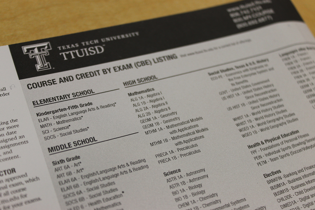 TTUISD courses