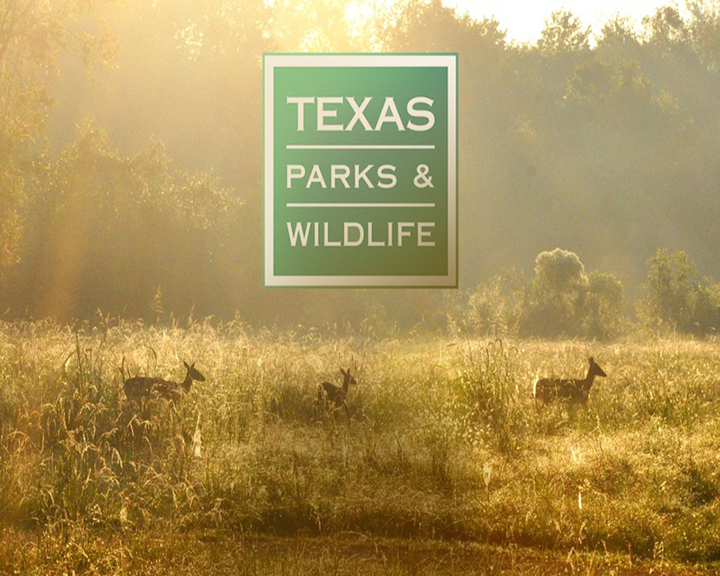 The best state parks in Texas