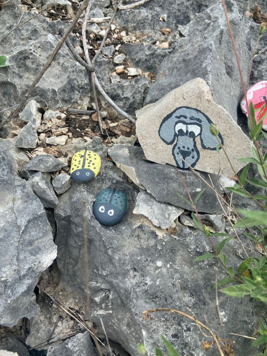 Communities are spreading positivity through painted rocks